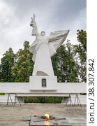 Мемориал Победы, братская могила, где похоронено 280 человек. Перед фигурой солдата горит вечный огонь. Тульская область, город Алексин, микрорайон Высокое, площадь Победы (2022 год). Редакционное фото, фотограф Наталья Николаева / Фотобанк Лори