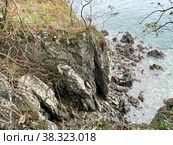 Берег полуострова Брюса осенью в дождливую погоду. Россия, Приморский край (2022 год). Стоковое фото, фотограф Овчинникова Ирина / Фотобанк Лори