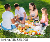 Cheerful woman picnicking with children and husband. Стоковое фото, фотограф Яков Филимонов / Фотобанк Лори