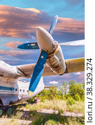 Turbines of turboprop aircraft An-12 at an abandoned aerodrome (2014 год). Редакционное фото, фотограф FotograFF / Фотобанк Лори