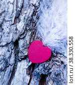 Scarlet heart with a white feather on a tree in winter. Стоковое фото, фотограф Ирина Кротова / Фотобанк Лори