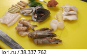 Mollusks, oysters, curves for Japanese cuisine. Стоковое видео, видеограф Aleksey Kidisyuk / Фотобанк Лори