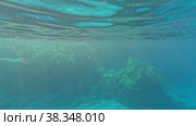 Sea surface underwater and above the water. Стоковое видео, видеограф Данил Руденко / Фотобанк Лори