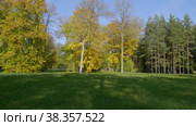 Екатерининский парк (Царское Село). Беседка у Розового поля. Catherine Park (Tsarskoye Selo). Gazebo by the Rose field. (2021 год). Редакционное видео, видеограф Евгений Романов / Фотобанк Лори