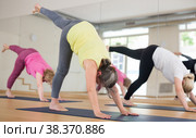 Group of mature woman making yoga meditation in ardha chandrasana pose. Стоковое фото, фотограф Яков Филимонов / Фотобанк Лори