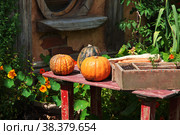 Hobbiton, New Zealand - 15 Dec 2018. Hobbiton is theme Park in New Zealand. Редакционное фото, фотограф Сергей Стрелков / Фотобанк Лори