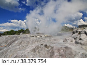 Thermal Park in Rotorua, New Zealand. Стоковое фото, фотограф Сергей Стрелков / Фотобанк Лори