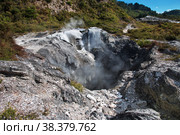 Thermal Park in Rotorua, New Zealand. Стоковое фото, фотограф Сергей Стрелков / Фотобанк Лори