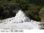 Lady knox geyser in wai-o-tapu thermal park, New Zealand. Стоковое фото, фотограф Сергей Стрелков / Фотобанк Лори