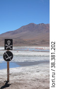 Death sign skull Uyuni Bolivia lake Red White Salt. Стоковое фото, фотограф Andreas Muth-Hegener / Фотобанк Лори