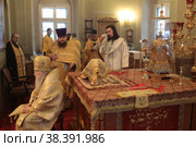 Митрополит Ювеналий рукоположил диакона Александра Тарабрина во пресвитера (2021 год). Редакционное фото, фотограф Дмитрий Неумоин / Фотобанк Лори