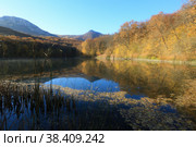 Autumn landscape where yellow trees near the lake are reflected in the water in the mountains. Стоковое фото, фотограф Яна Королёва / Фотобанк Лори