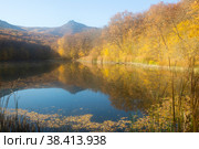 Gold autumn. Light fog near the lake in the early morning. Стоковое фото, фотограф Яна Королёва / Фотобанк Лори