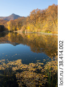 Gold autumn. Beautiful reflection in the water of a forest lake in the mountains. Стоковое фото, фотограф Яна Королёва / Фотобанк Лори
