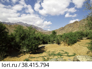 Wadi Sara in mountains, Yemen (2013 год). Стоковое фото, фотограф Сергей Стрелков / Фотобанк Лори