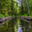 View of the canal boat with reflection. Редакционное фото, фотограф Михаил Аккуратoв / Фотобанк Лори