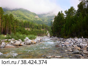 A river with a rapid current, mountain peaks in the clouds, a coniferous forest. Стоковое фото, фотограф Виктория Тельминова / Фотобанк Лори
