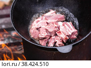 Рецепт приготовления картофеля с мясом и овощами в казане на природе. Приготовление еды. Кулинарные рецепты. Пошаговая фото инструкция по приготовлению. Стоковое фото, фотограф Photojuli / Фотобанк Лори