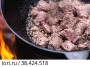 Рецепт приготовления картофеля с мясом и овощами в казане на природе. Приготовление еды. Кулинарные рецепты. Пошаговая фото инструкция по приготовлению. Стоковое фото, фотограф Photojuli / Фотобанк Лори