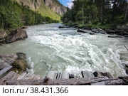 Behemoth — the rapid on the mountain the Chuya river in the Altai Republic near the mouth of the river Agulak. Nature Of Altai. The boiling water of a mountain river. Бегемот — стремнина на горной реке Чуя в Республике Алтай недалеко от устья реки Агулак. Природа Алтая. Кипящая вода горной реки. Стоковое фото, фотограф Мария Кошелева / Фотобанк Лори