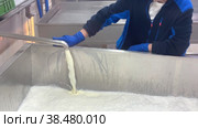A Worker is Controlling the Cheese Manufacturing Process. Huge tank for storing and fermenting milk at a dairy factory. Food industry. Dairy Production Facility. Production Room. Milk Plant. (2022 год). Редакционное видео, видеограф Ирина Михайличенко / Фотобанк Лори