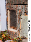 Bee hive. Lots of bees. Autumn honey fair in Moscow. (2018 год). Редакционное фото, фотограф Photojuli / Фотобанк Лори