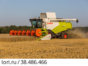 Russia, Kazan - august 5, 2020 : Claas Combine Harvester harvesting a crop of Barley. Редакционное фото, фотограф Ольга Сейфутдинова / Фотобанк Лори