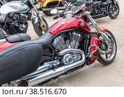 Harley Davidson motorcycles on the city street (2019 год). Редакционное фото, фотограф FotograFF / Фотобанк Лори