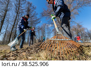 Россия. Санкт-Петербург. Участники городского субботника на уборке территории. Russia. Saint-Petersburg. Participants of the city subbotnik on cleaning the territory. (2022 год). Редакционное фото, фотограф Алексей Смышляев / Фотобанк Лори