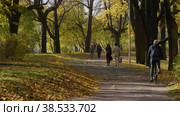 Санкт-Петербург, аллея Центрального парка на Елагином острове осенью. St. Petersburg, alley of the Central Park on Elagin Island in autumn. (2021 год). Редакционное видео, видеограф Евгений Романов / Фотобанк Лори