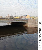 Карповский мост через реку Карповку с фигурным ограждением (2021 год). Стоковое фото, фотограф Елена Яворская / Фотобанк Лори