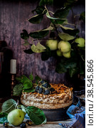 Rustic Apple Pie. Стоковое фото, фотограф Татьяна Ворона / Фотобанк Лори