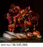 Guelder Rose Berry and Apple Still Life. Стоковое фото, фотограф Татьяна Ворона / Фотобанк Лори