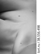 beautiful female clavicles. Стоковое фото, фотограф Lekcej / Фотобанк Лори