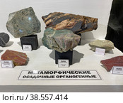 Виды яшмы. Музей камня и самоцветов, Алушта, Крым (2022 год). Редакционное фото, фотограф Мария Кылосова / Фотобанк Лори