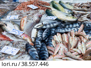 Италия. Катанья. Торговля морепродуктами на рыбном рынке. Italy. Catania. Trade of seafood at the fish market. Стоковое фото, фотограф Алексей Смышляев / Фотобанк Лори
