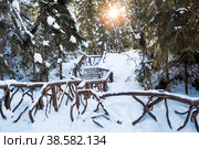 Winter landscape of the park. Ruskeala waterfalls. The territory of the park. Beautiful winter landscape. Russia, Republic of Karelia. (2018 год). Стоковое фото, фотограф Photojuli / Фотобанк Лори