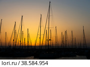Италия. Сиракузы. Яхт-клуб. Мачты яхт на закате. Italy. Syracuse. Yacht club. The masts of the yachts at sunset. Стоковое фото, фотограф Алексей Смышляев / Фотобанк Лори