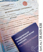 Международный ветеринарный паспорт животного и ветеринарный сертификат. Документы для транспортировки животного  в другую страну (2023 год). Редакционное фото, фотограф Ирина Терентьева / Фотобанк Лори