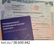 Международный ветеринарный паспорт животного и ветеринарный сертификат. Документы на собаку (2023 год). Редакционное фото, фотограф Ирина Терентьева / Фотобанк Лори