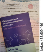 Международный ветеринарный паспорт животного и ветеринарный сертификат. Документы для трансграничной перевозки животного (2023 год). Редакционное фото, фотограф Ирина Терентьева / Фотобанк Лори