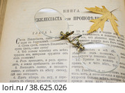 Пенсне на открытой Книге екклесиаста, или проповедника, винтажный натюрморт. Стоковое фото, фотограф Короленко Елена / Фотобанк Лори