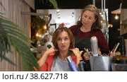 Delighted young female client sitting in hairdressing chair after haircut from professional stylist. Стоковое видео, видеограф Яков Филимонов / Фотобанк Лори