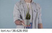 Vertical video white man holding cactus pot mens problems. Стоковое видео, видеограф Mihail Mihaylov / Фотобанк Лори
