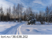 Зимний лесной пейзаж с глубоким снегом, сугробами и дорогой, убегающей за поворот. Россия, Урал. Стоковое фото, фотограф Ольга Соколова / Фотобанк Лори