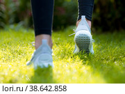 Runner legs running on a green lawn closeup on shoes. Fitness woman sunrise jogging workout welness concept. Стоковое фото, фотограф Photojuli / Фотобанк Лори