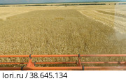 Поволжье, страда. Комбайн убирает пшеницу. Вид из кабины комбайна. Volga region, harvest season. Combine harvest wheat. View from the cab of the combine. Стоковое видео, видеограф Евгений Романов / Фотобанк Лори