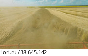 Поволжье, страда. Комбайн убирает пшеницу. Вид из кабины комбайна. Volga region, harvest season. Combine harvest wheat. View from the cab of the combine. Стоковое видео, видеограф Евгений Романов / Фотобанк Лори