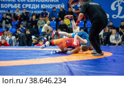 Вдавила за край ковра. Всероссийские соревнования по вольной борьбе (2022 год). Редакционное фото, фотограф Роман Скосарев / Фотобанк Лори