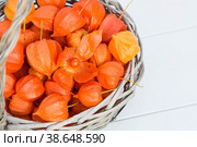 Physalis or Chinese lantern plants in a wicker basket close-up. Natural colorful autumn decorations: physalis alkekengi. Copy of the space for the text. Стоковое фото, фотограф Photojuli / Фотобанк Лори